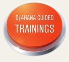 S/4HANA Guided Trainings