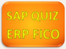 Button SAP FICO Quiz u. a. für SAP Strategieberater Projektleiter Interim Manager