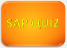 SAP Quiz u. a. für SAP BASIS & GRC Consultants bzw. Berater Button zum Profil