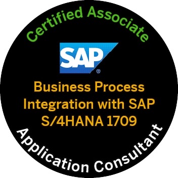 SAP S/4HANA Business Process Integration Timo Götte S4-Experts Application Consultant 