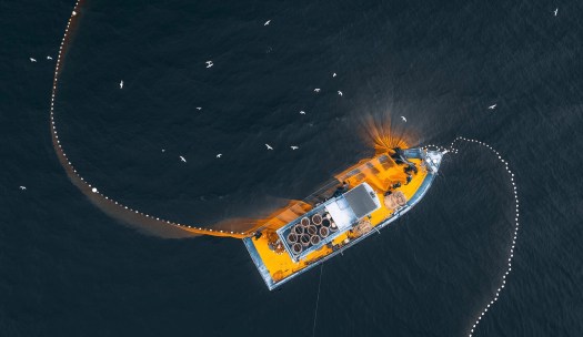 SAP Marktanalyse für Marketingstrategien