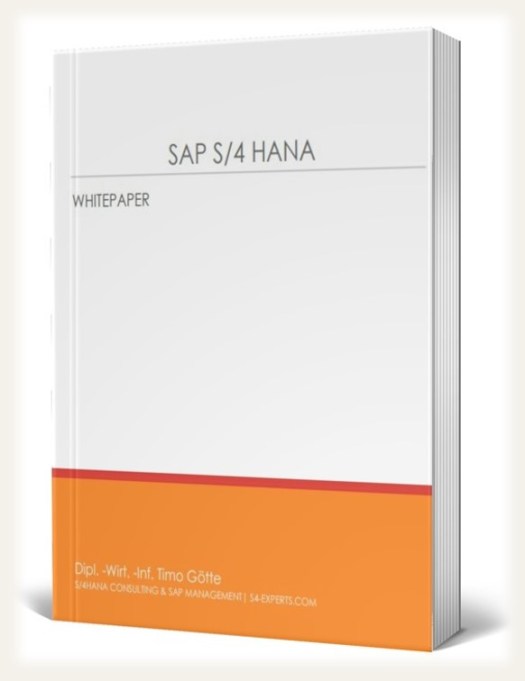 SAP S/4HANA Consulting Management Beratung Berater Freiberufler Consultant Timo Götte