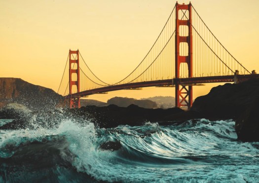 Manager Consultant Employee Project Leader Talent Employer  taskmaster executive worker service job search hunting seeking emplyment applicant contender canditate suitor aspirant job local