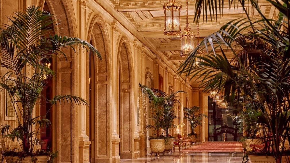 SAP Consultants Freiberufler Magazin