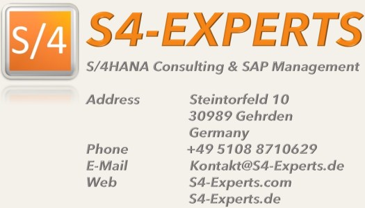 SAP HANA Consulting Consultant Freelancer Management Project Leader