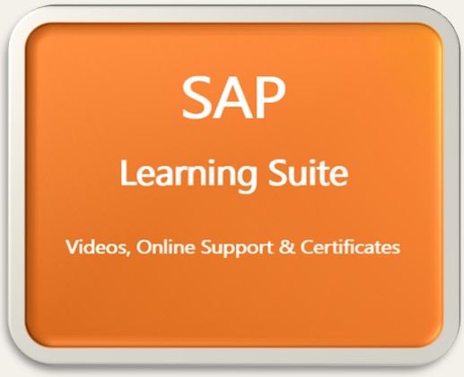 SAP Learning Suite and Training Support