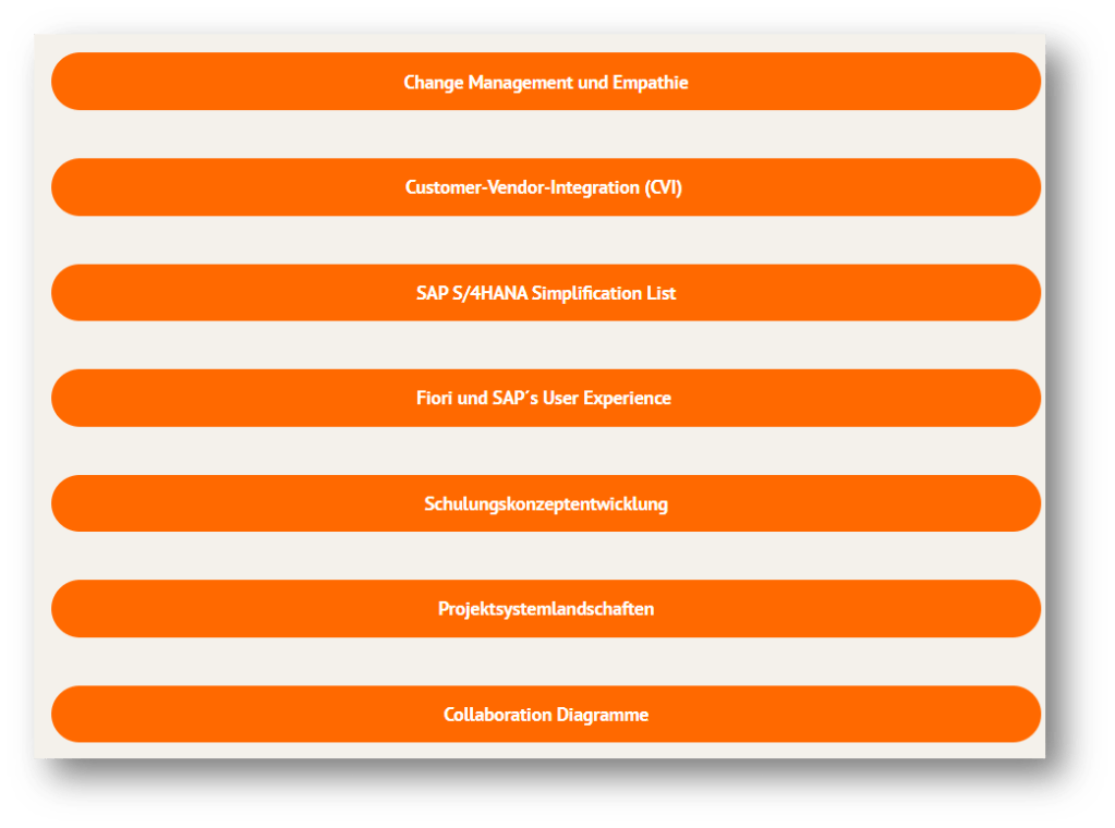 SAP S/4HANA Projektleiter und Projektmanager