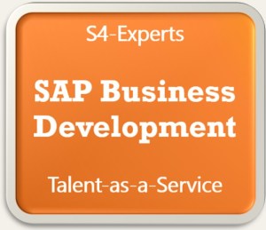 sap-business-development-und-marketingstrategien