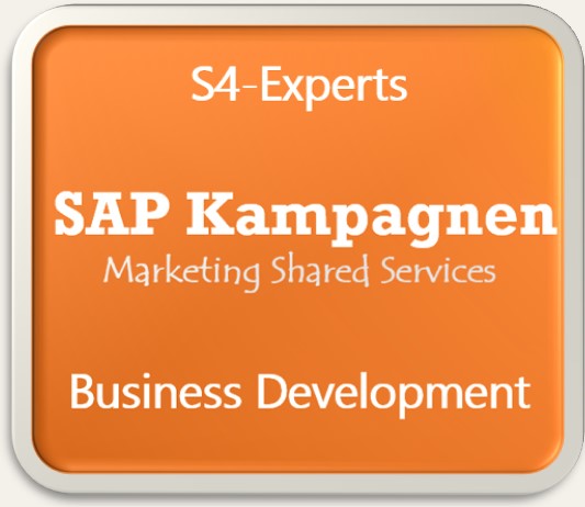 SAP Kampagnen Google Ads LinkedIn Instragram Facebook YouTube X Meta TikTok