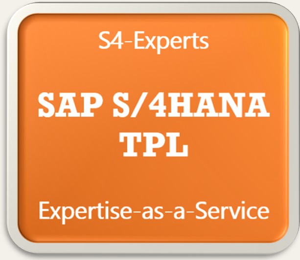 SAP S4HANA Teilprojektleiter Projektleiter Projektmanager Streamlead
