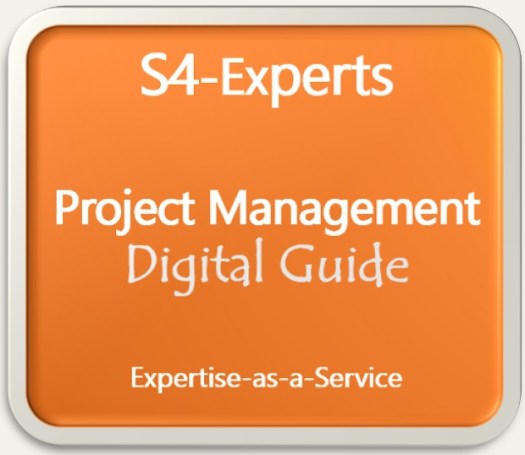 Button SAP Projektleiter Projektmanager Project Leader Guide