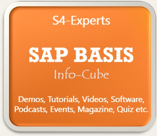 SAP BASIS Berater Consultants