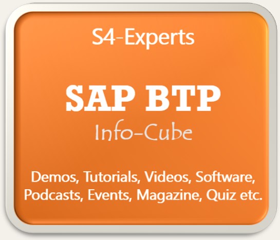 SAP BTP Berater Consultants