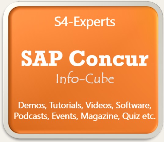 SAP Concur Berater Consultants