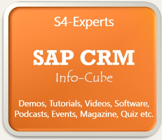 SAP CRM Berater Consultants