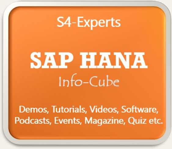 SAP HANA Berater Consultants