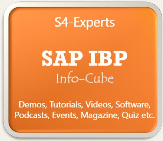 SAP IBP Berater Consultants