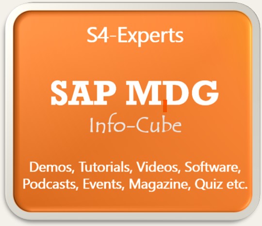 SAP MDG Berater Consultants