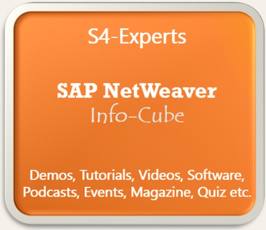 SAP NetWeaver Berater NW Consultants