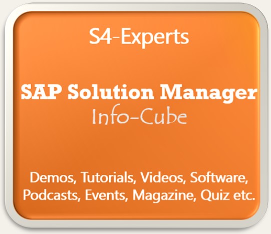 SAP SolMan Berater Solution Manager Consultants ALM