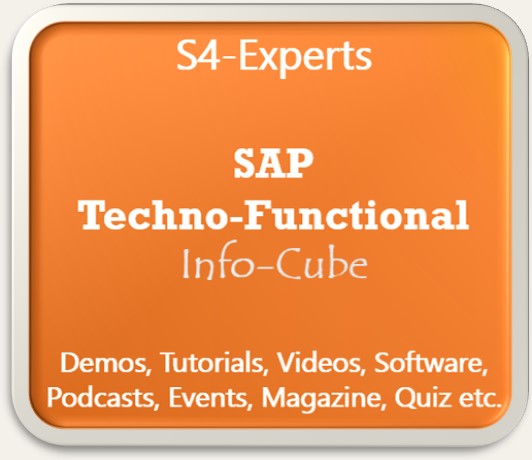 SAP Techno-Functional Berater Consultants
