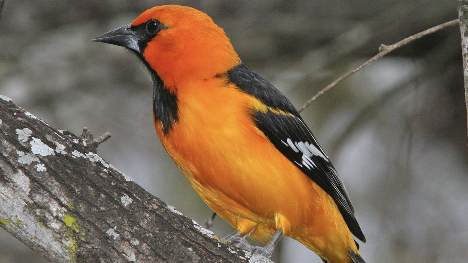 Actualités du SAP Journal magazine