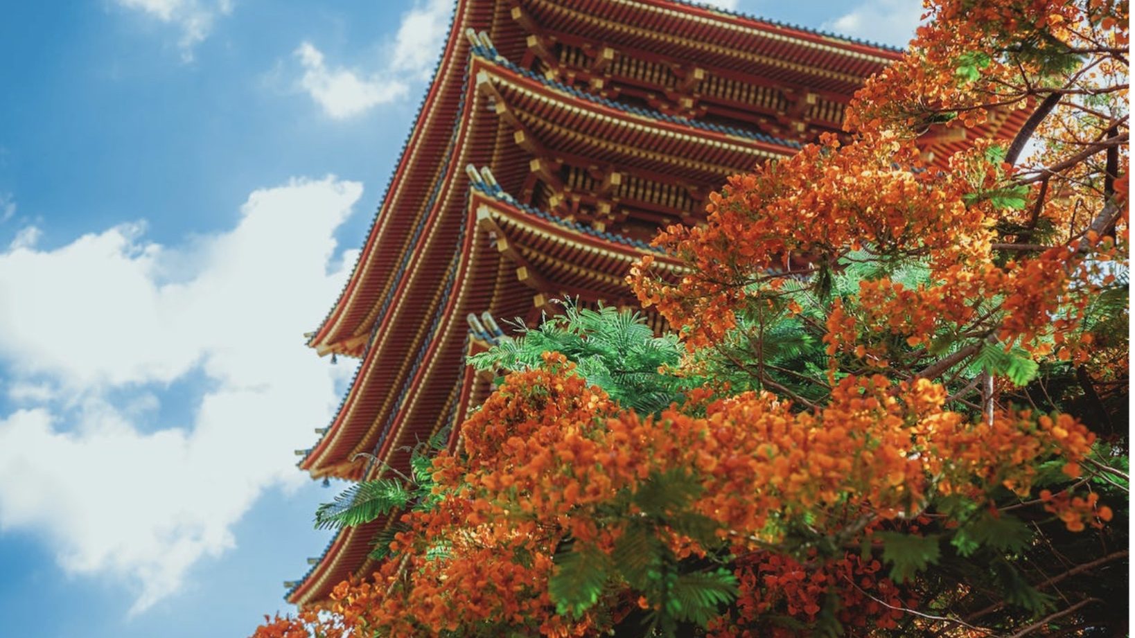 Tạp chí SAP S/4HANA Việt Nam – Tin tức & Giải pháp doanh nghiệp