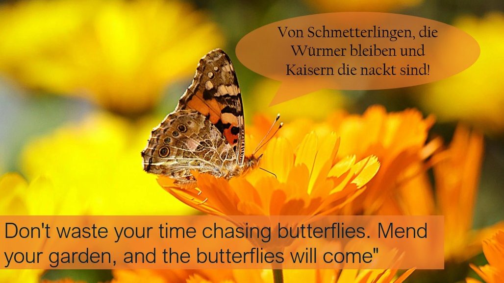 Soziale Intelligenz entzaubert einfältige Dogmen