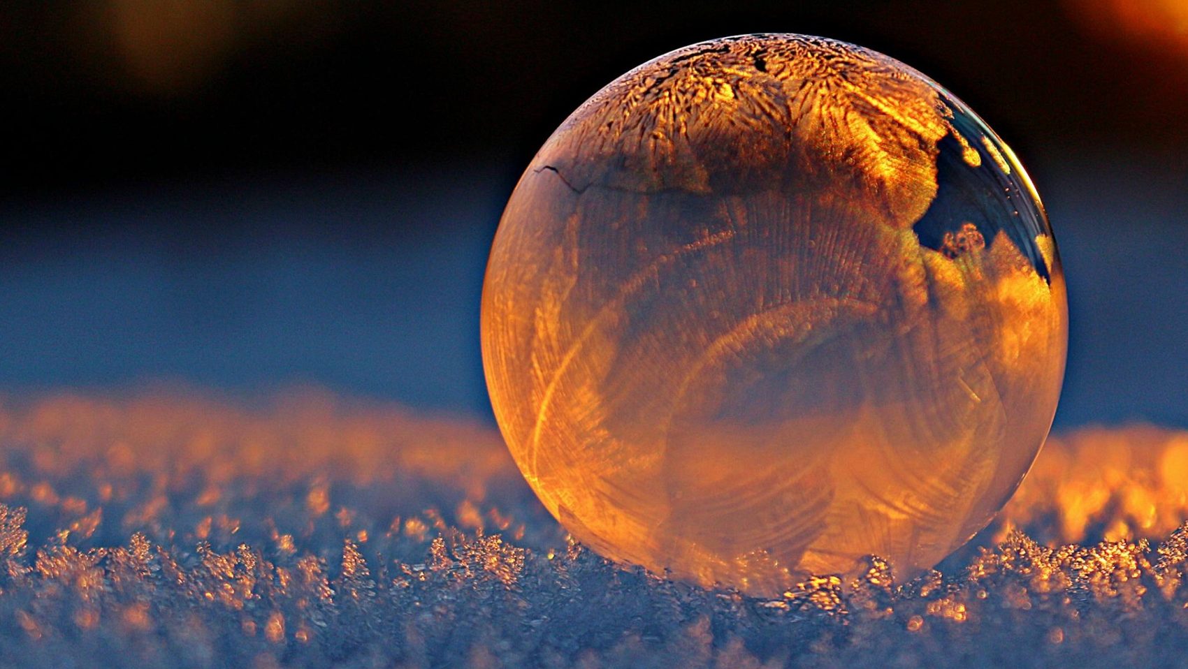 SAP Marketingstrategie